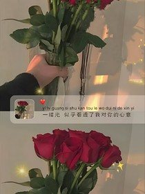《我们的星河》