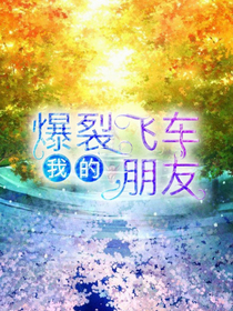我的爆裂飞车朋友-d036