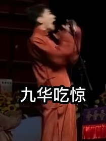 何九华同人文
