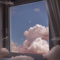 我才是他的