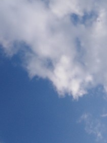 天上掉下一个神仙