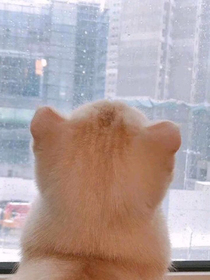 神仙姐姐在线撩人