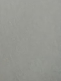 校園的雜文