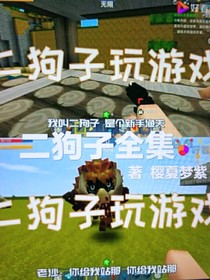 二狗子全集