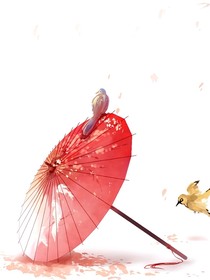 再会无期——d551