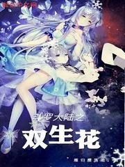 斗3双生花