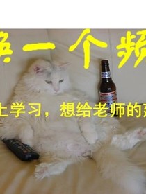 苏宇阳的爱