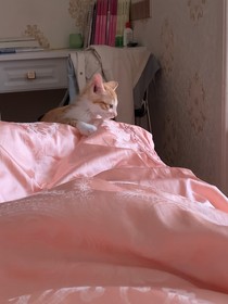 那无聊的事