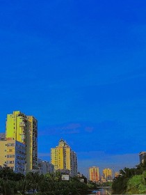 言年的世界