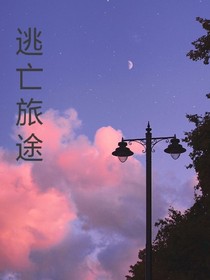 逃亡旅途-d028