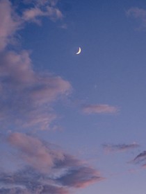 精灵梦叶罗丽天行九歌微信群