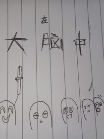 在大脑中