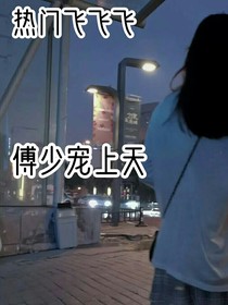 傅少宠上天