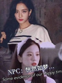 NPC：恍然如梦……