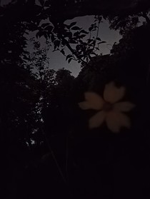 拾肆岁