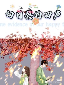 向日葵的回声