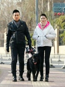 花犬之再上征程（杜寒）