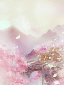 雙妃傳