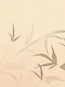 月羽之歌