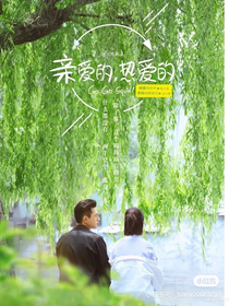 《亲爱的热爱的》婚后生活