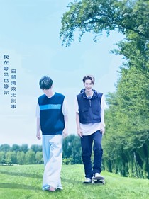 我们的磕磕绊绊