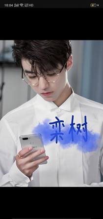 欒樹(shù)