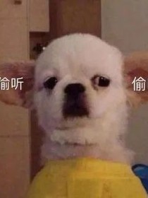 长歌漫