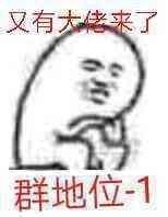选修者