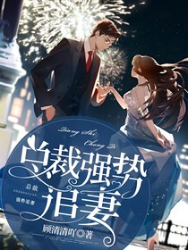 总裁强势追妻