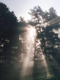 施主，安息吧