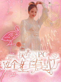 快穿NPC：这个女主有点忙