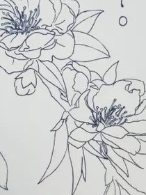 京劇貓之桃花記