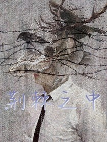 荆棘之中视角一