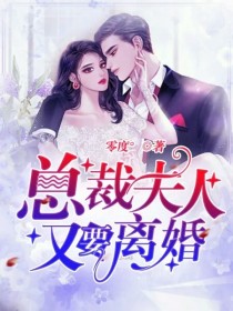 总裁，夫人又要离婚