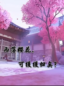 雨落樱花，可缓缓归矣？