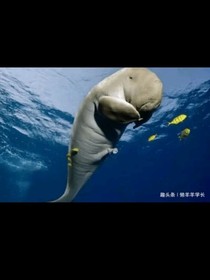 救我一命的哥哥