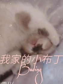 我家的小布丁