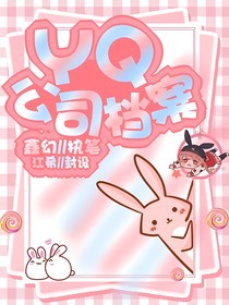 YQ公司檔案