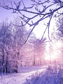 与你风骄阳伴风雪