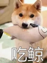 重臨回歸