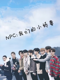 NPC:我们的小娇妻