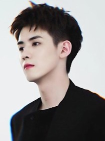 任豪青梅撞竹马