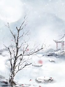 穿越名柯當(dāng)怪盜