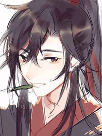 沐少宠妻
