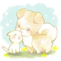 猫狗的那些事