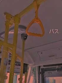 我只心悦于你