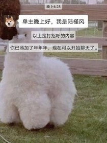 所以你喜欢我吗？