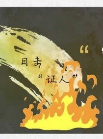 目击证人军