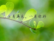 拒绝Cp