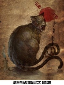 小靈貓的鬼魂